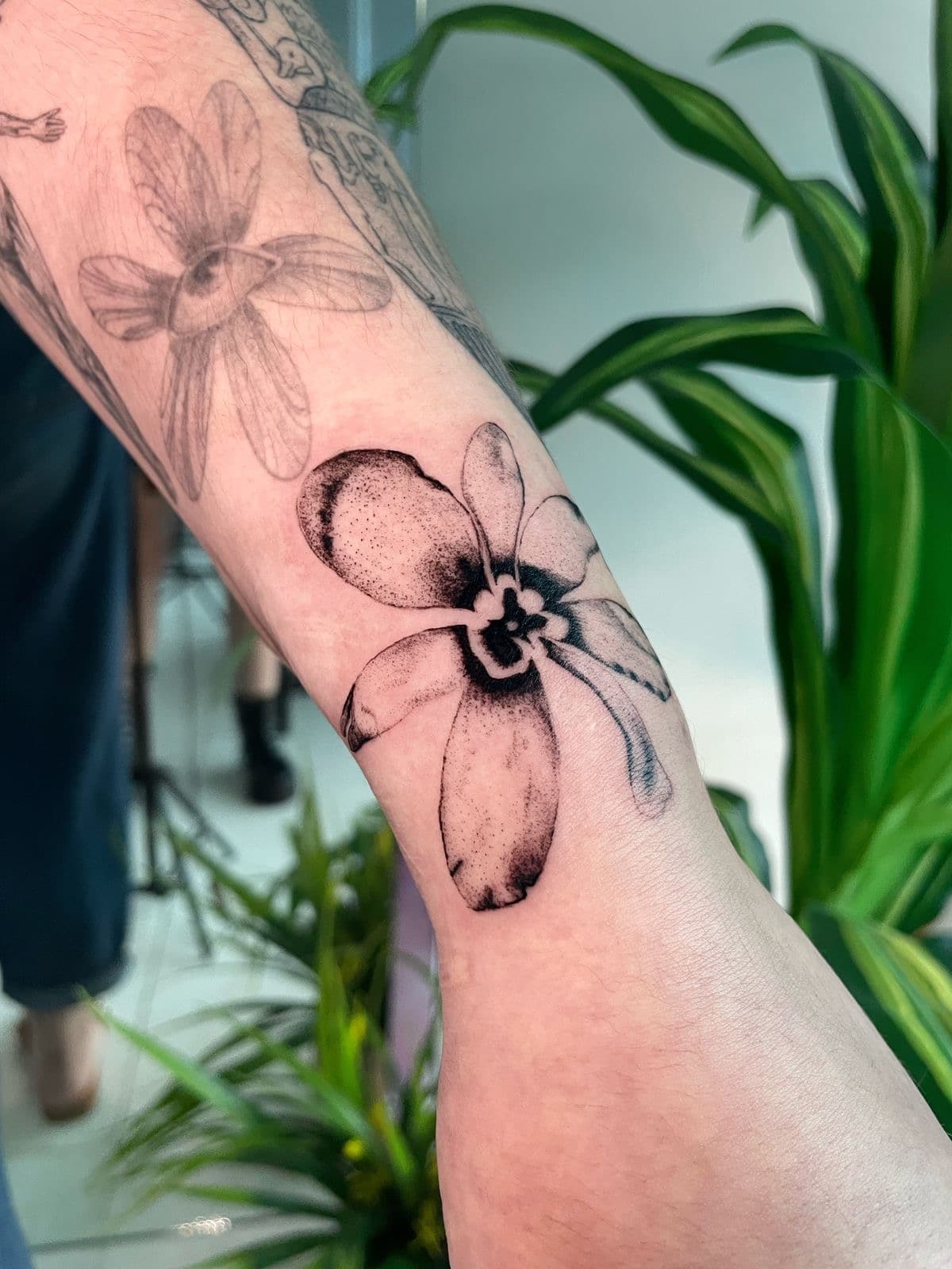 Fine line orchid forearm tattoo by Aris in Panama